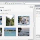 Picasa 3.5 – Neue Funktionen im Foto-Dschungel
